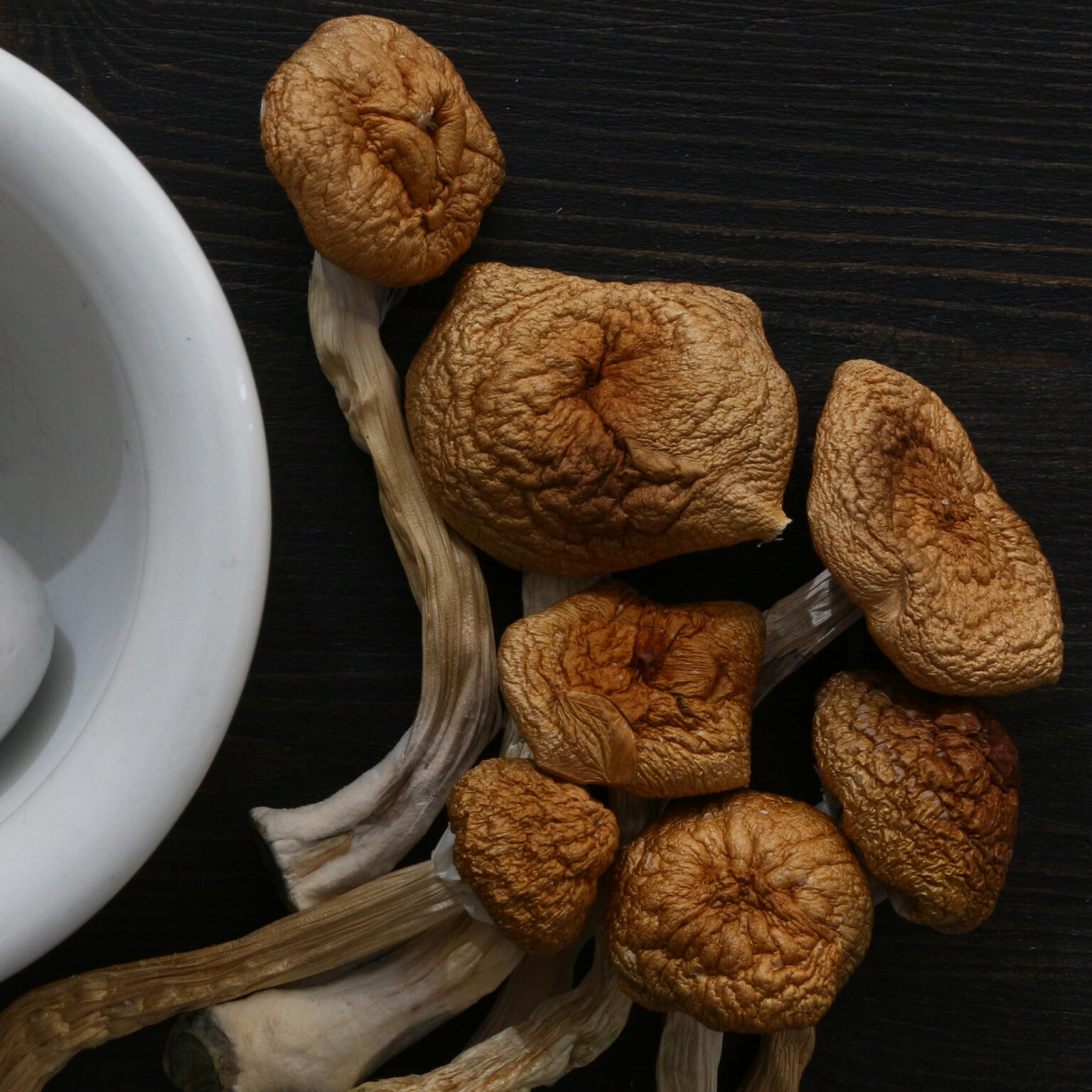 Category Dried Mushrooms Myconica