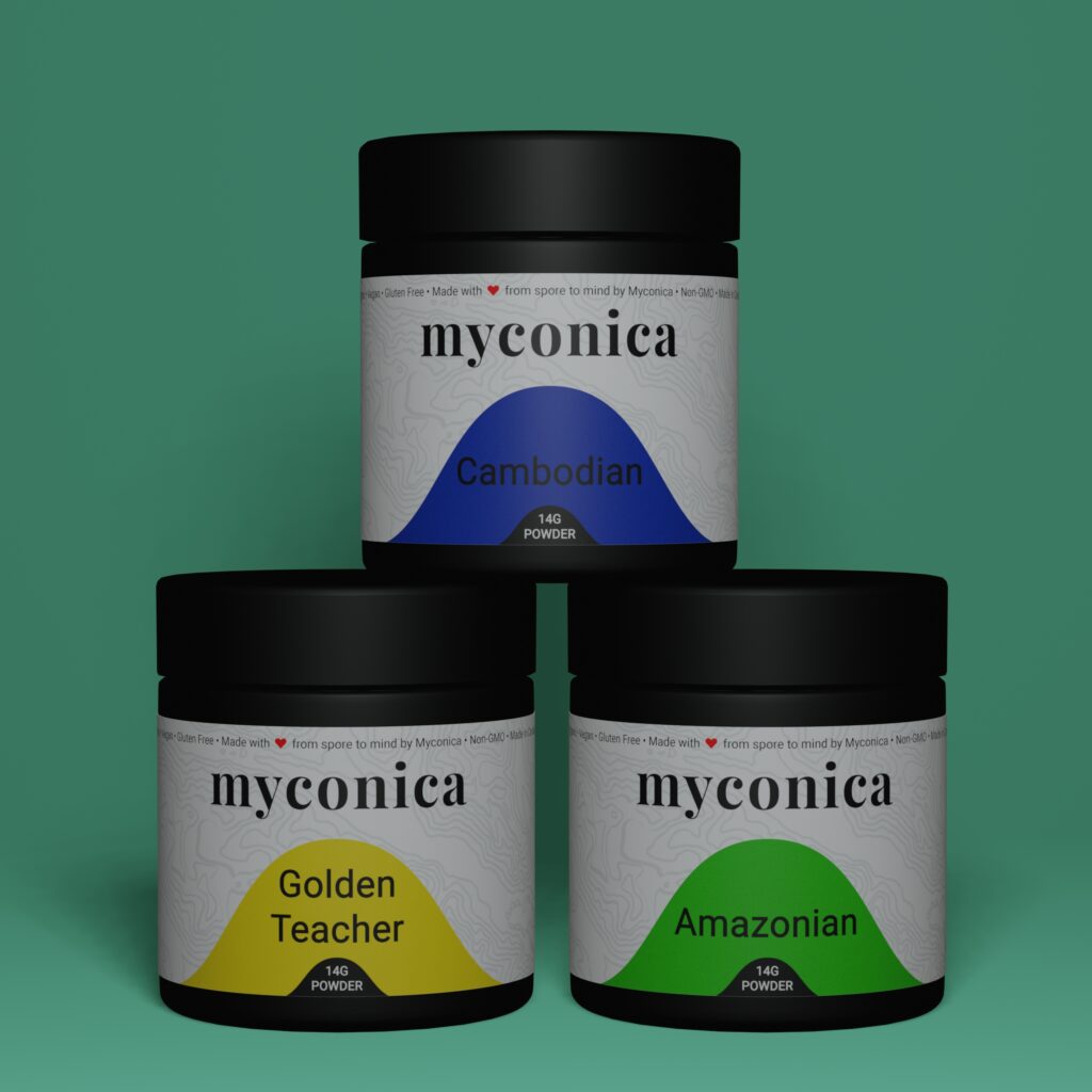 Powder Starter Bundle